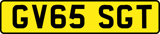 GV65SGT