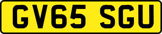 GV65SGU