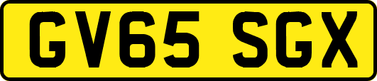 GV65SGX
