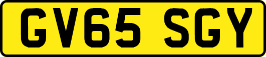 GV65SGY