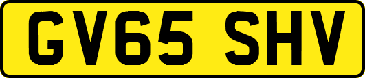 GV65SHV
