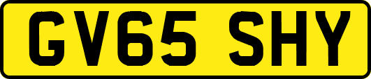 GV65SHY