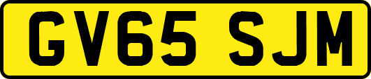 GV65SJM