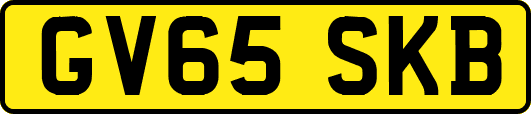 GV65SKB