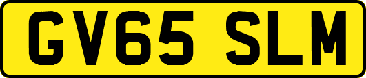 GV65SLM
