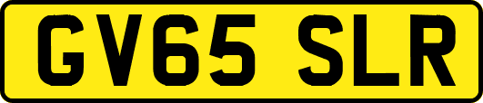 GV65SLR
