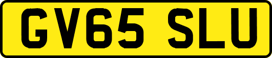 GV65SLU