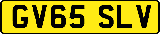 GV65SLV