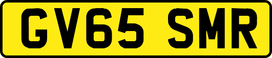 GV65SMR