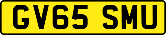 GV65SMU