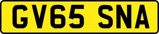 GV65SNA