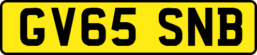 GV65SNB