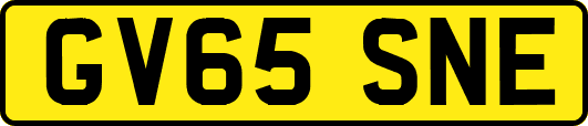 GV65SNE