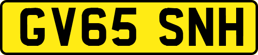 GV65SNH