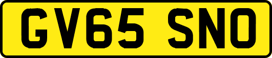 GV65SNO
