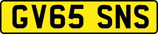 GV65SNS