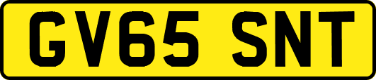 GV65SNT