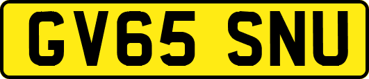 GV65SNU