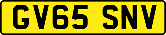 GV65SNV