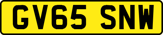 GV65SNW