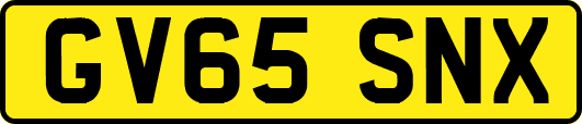 GV65SNX