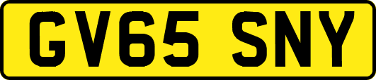 GV65SNY