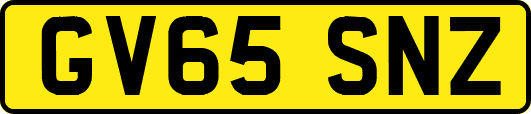 GV65SNZ