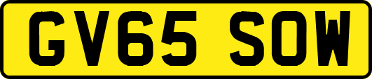 GV65SOW