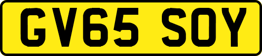 GV65SOY