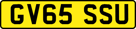 GV65SSU