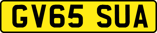 GV65SUA