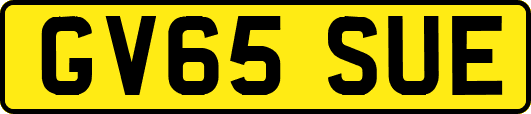 GV65SUE