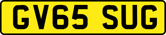 GV65SUG