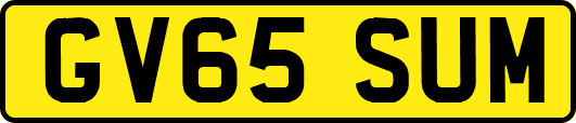 GV65SUM