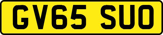 GV65SUO