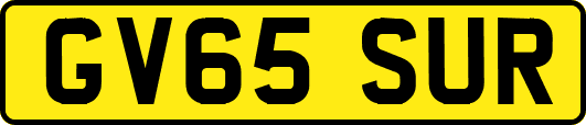 GV65SUR