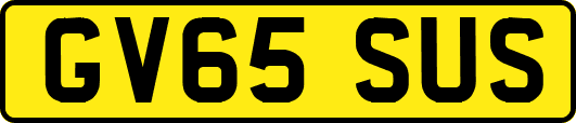 GV65SUS