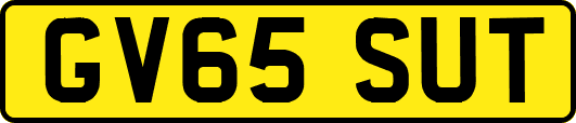 GV65SUT