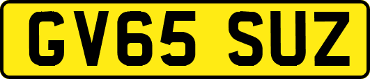 GV65SUZ