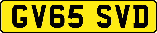 GV65SVD