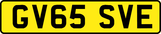 GV65SVE