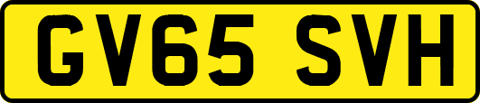 GV65SVH