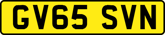GV65SVN