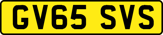 GV65SVS