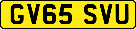 GV65SVU