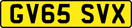 GV65SVX