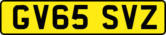 GV65SVZ