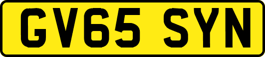 GV65SYN