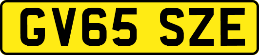 GV65SZE