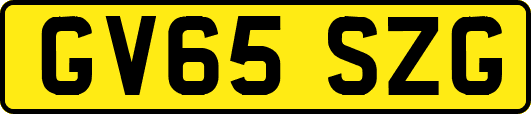 GV65SZG